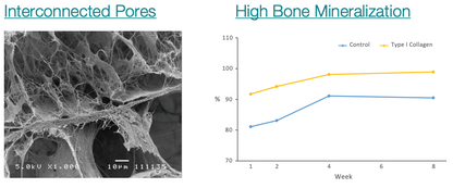 Curagen™ Collagen Wound Dressing 10x20mm plug; 10 pieces/box #HAD001020