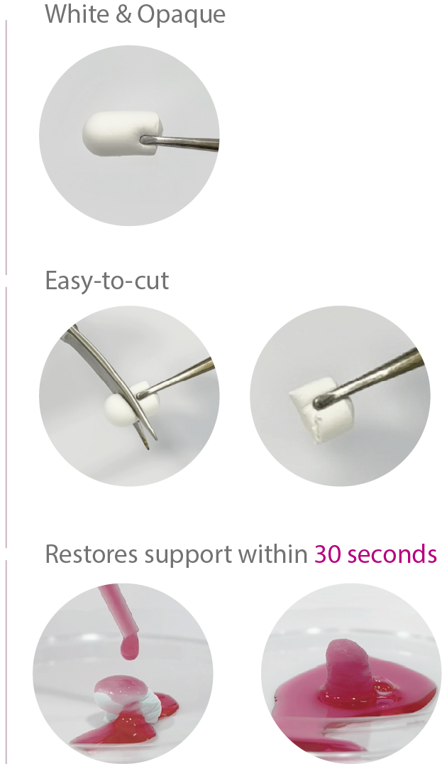 Gide Plug Absorbable Collagen Wound Dressing, Ø10mm x 20mm, 10/Pk #HAD001020